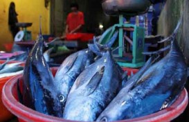 JELAJAH INVESTASI JABAR-JATENG 2021  : Menilik Ladang Basah Perikanan Jawa Tengah